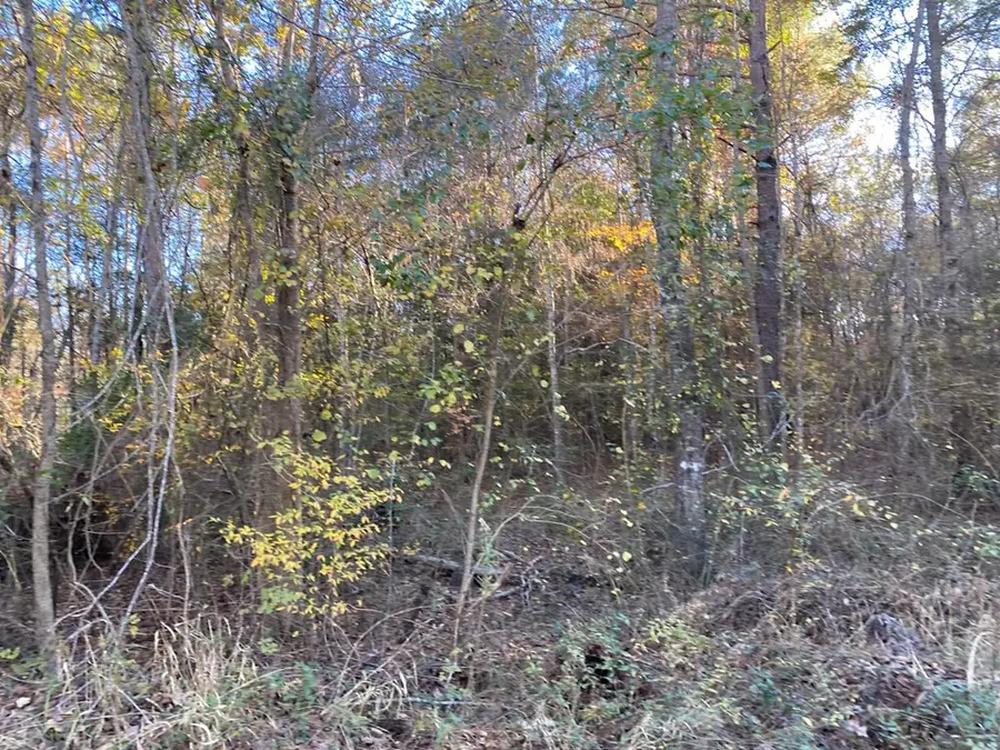 R47124 Beechwood, Huntington, TX 75949 - Image #2