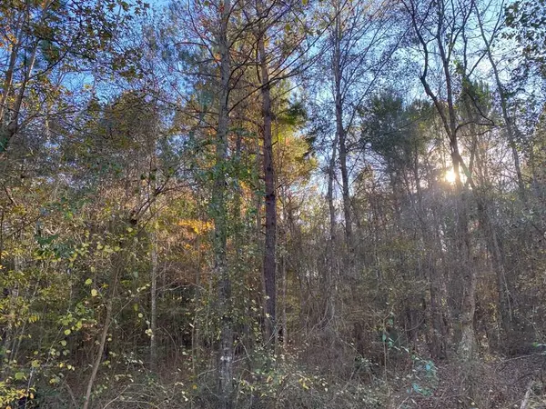 R47123 Beechwood, Huntington, TX 75949