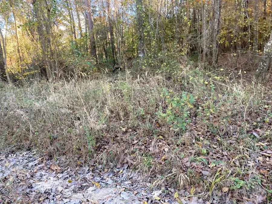 248 Cottonwood, Huntington, TX 75949 - Image #2