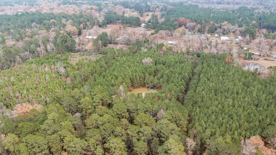 1642 Walker Road, Huntington, TX 75949 - Image #3