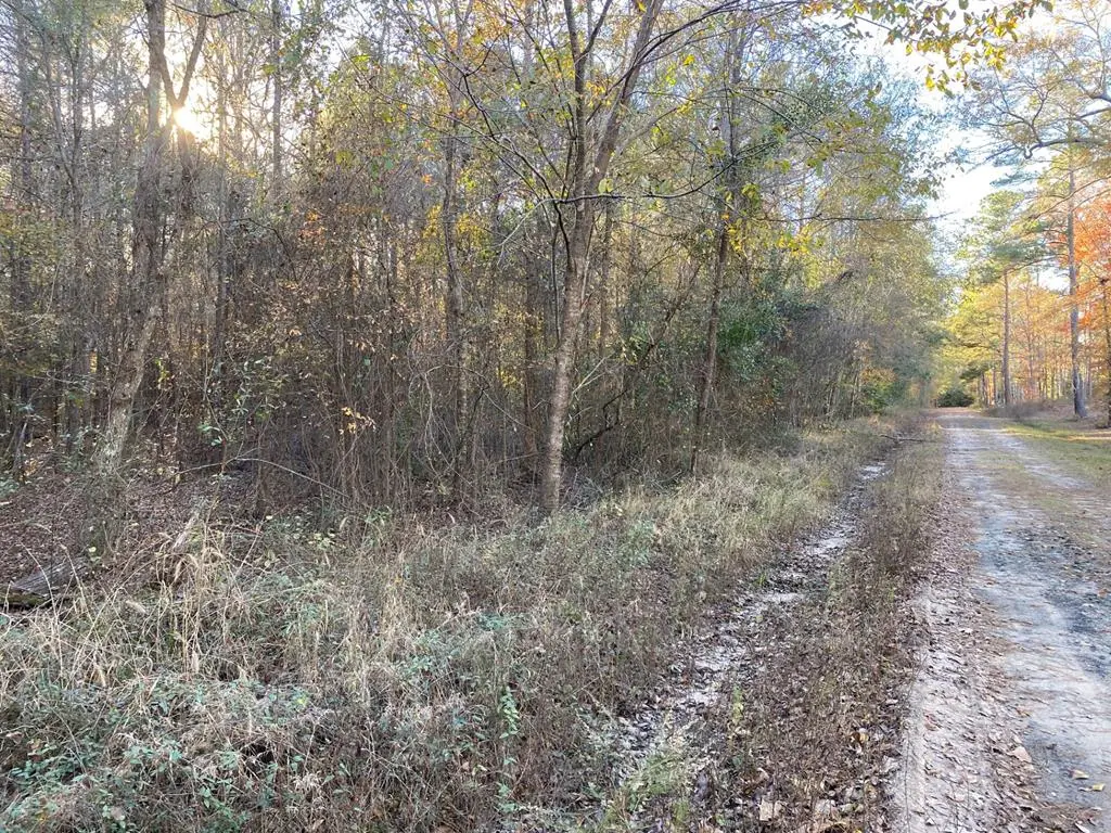 R47120 Cottonwood, Huntington, TX 75949 - Image #1