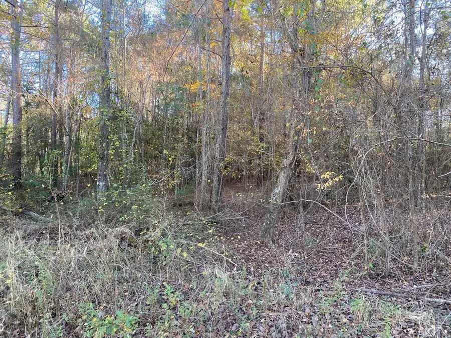 R47122 Maplewood, Huntington, TX 75949 - Image #2