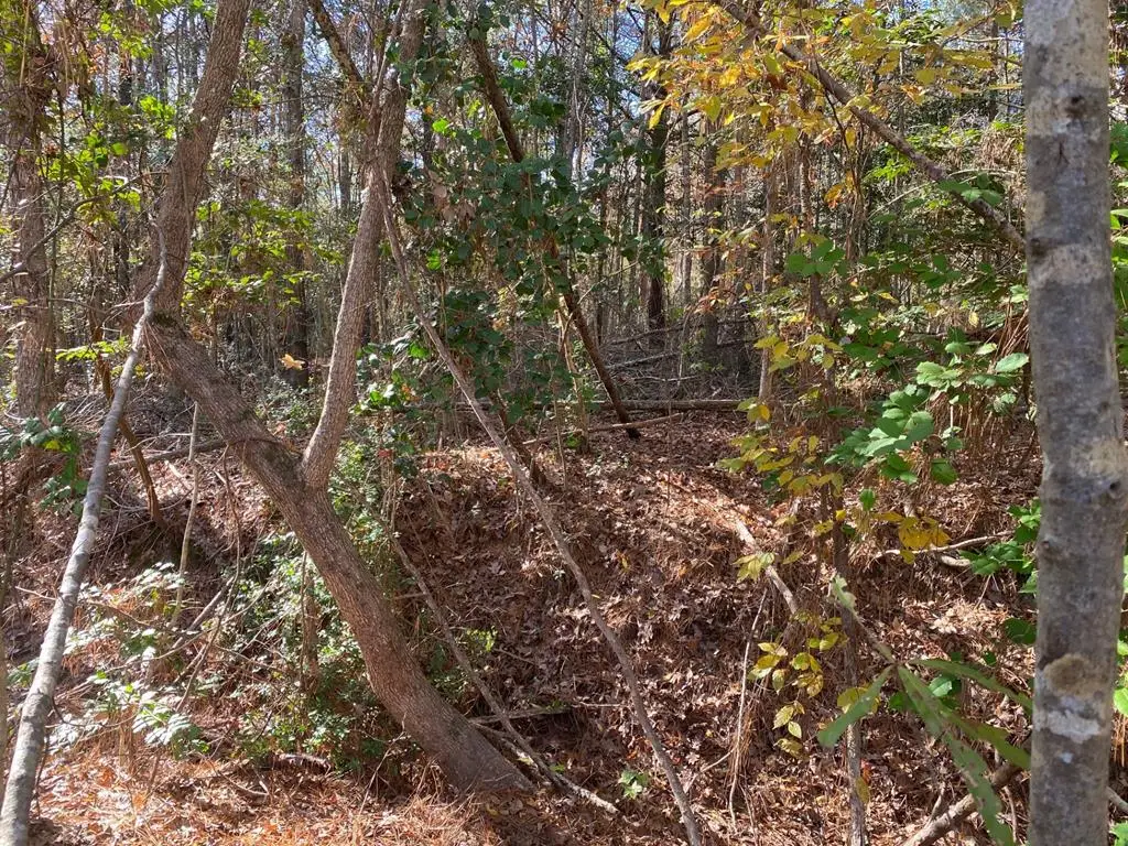 R47114 Dogwood, Huntington, TX 75949 - Image #1