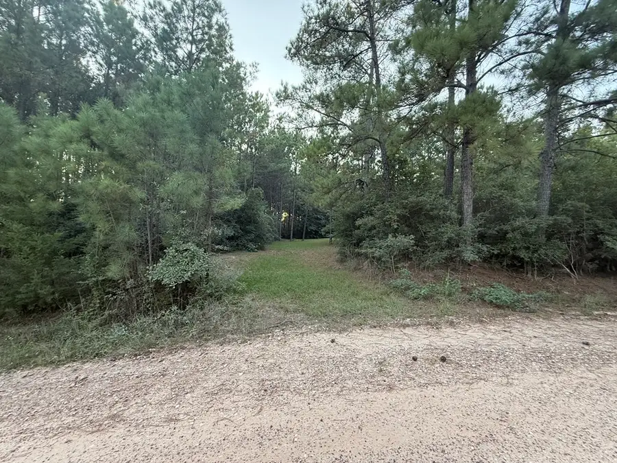 Lot 20 Clint Rd, Moscow, TX 75960 - #3