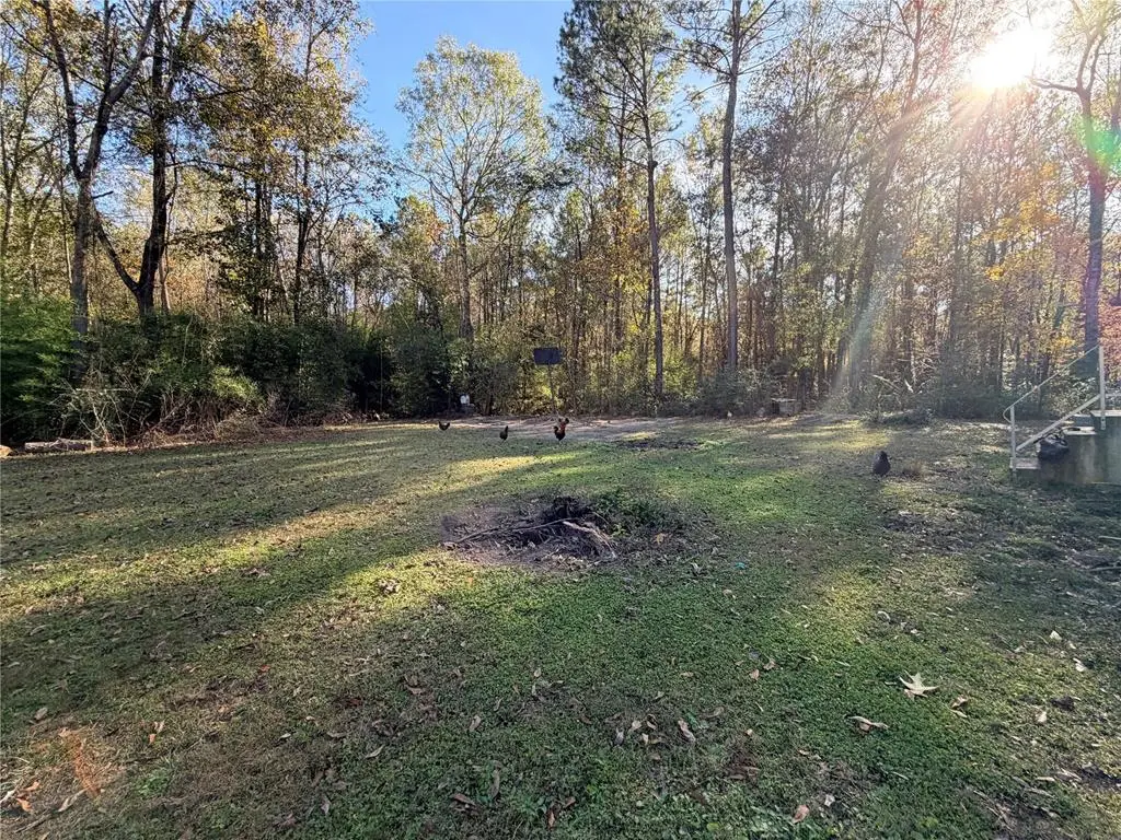 265 County Road 3380, Colmesneil, TX 75938 - Image #1