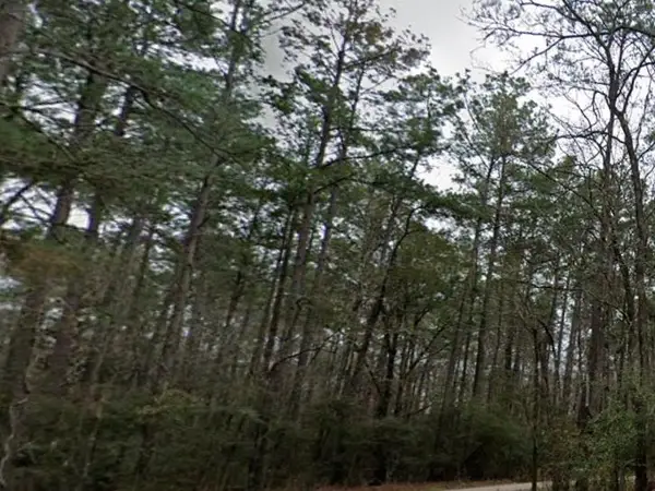 PID #36355 County Road 828, Vidor, TX 77662