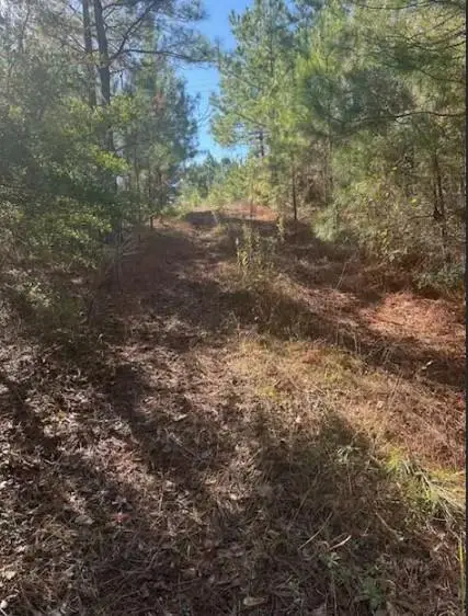 1866 Hwy 21 E, Milam, TX 75968 - Image #1