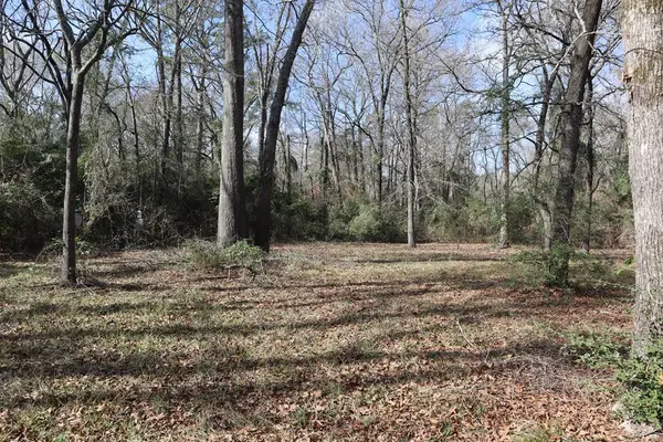 Lot #3 Fm 706s, Lufkin, TX 75902