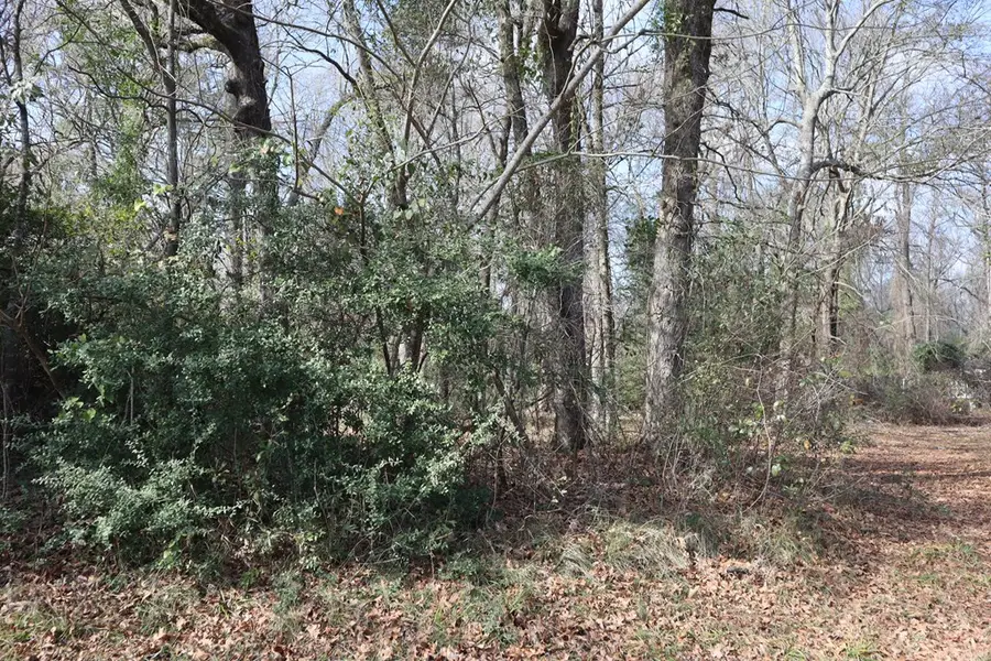 Lot #3 Fm 706s, Lufkin, TX 75902 - Image #2