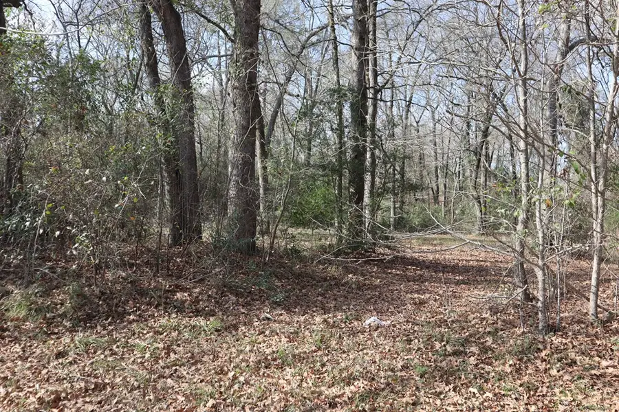 Lot #3 Fm 706s, Lufkin, TX 75902 - Image #3