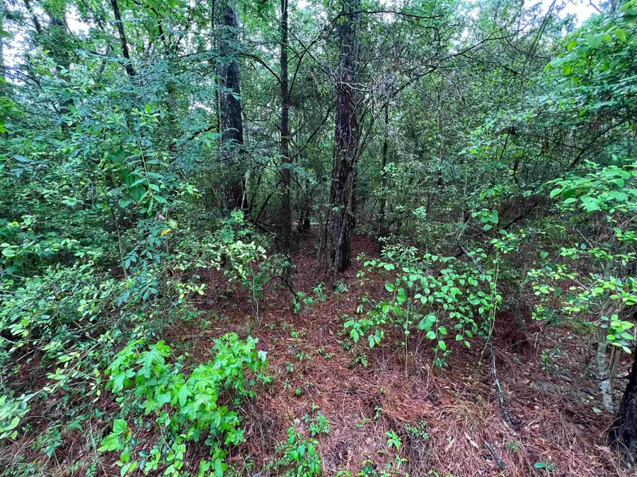 002 Parkside Drive, Brookeland, TX 75931 - Image #2