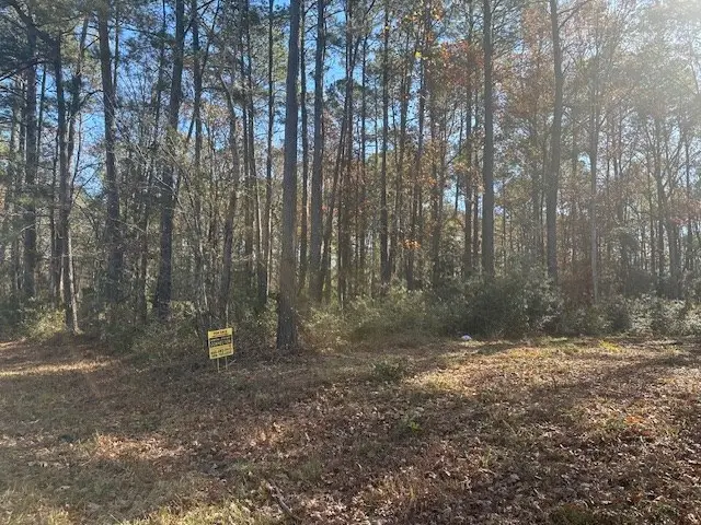 R000244611 Fm 83, Hemphill, TX 75948 - Image #2