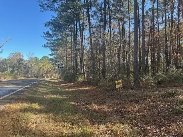 R000244611 Fm 83, Hemphill, TX 75948 - Image #3