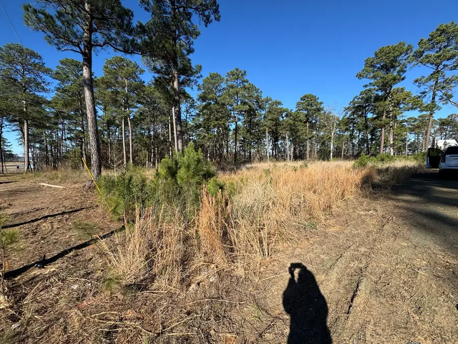 020 Private Road 6028, Brookeland, TX 75931 - #3