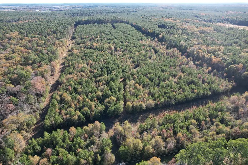 1729 Neal Road, Huntington, TX 75949 - Image #1