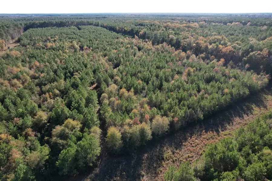 1729 Neal Road, Huntington, TX 75949 - Image #2