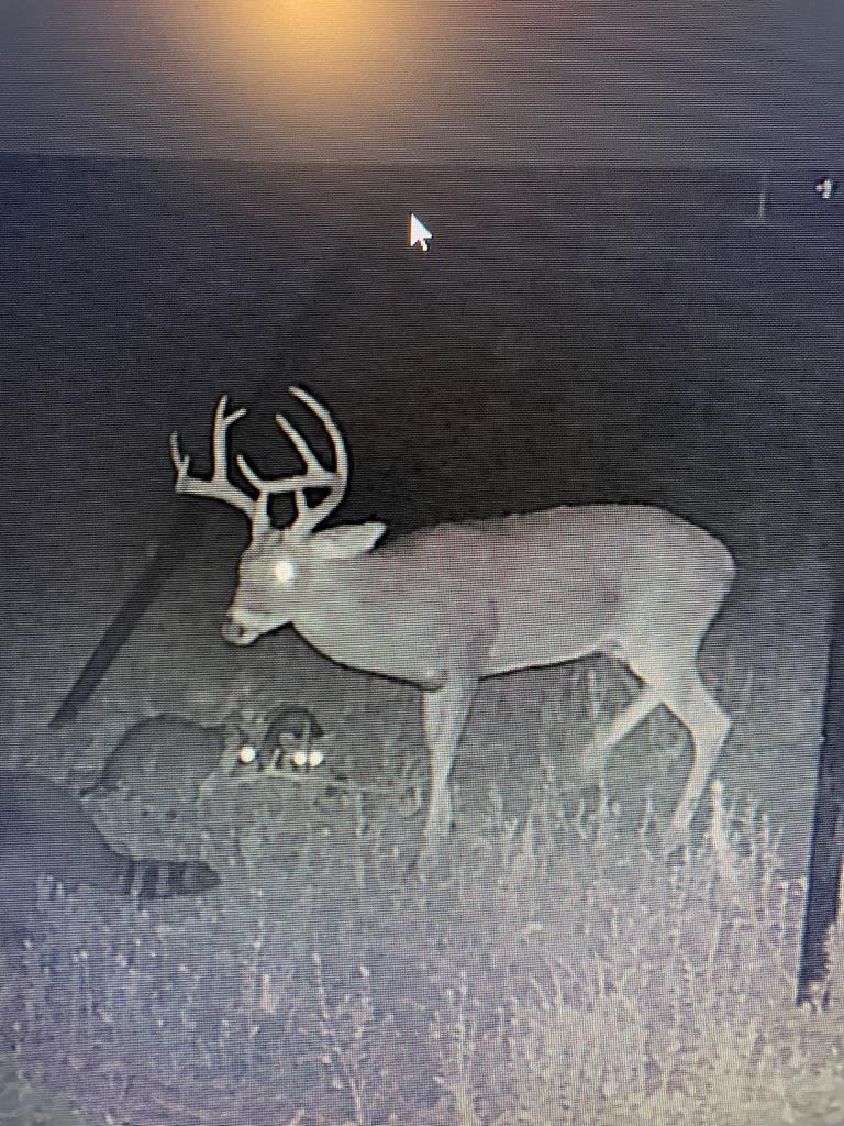 1729 Neal Road, Huntington, TX 75949 - Image #3