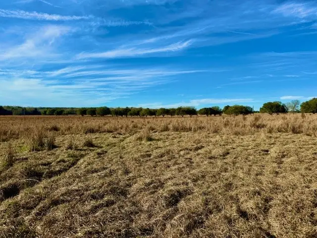 Lot 103 Lakeland Ranch, Hillister, TX 77624 - Image #2