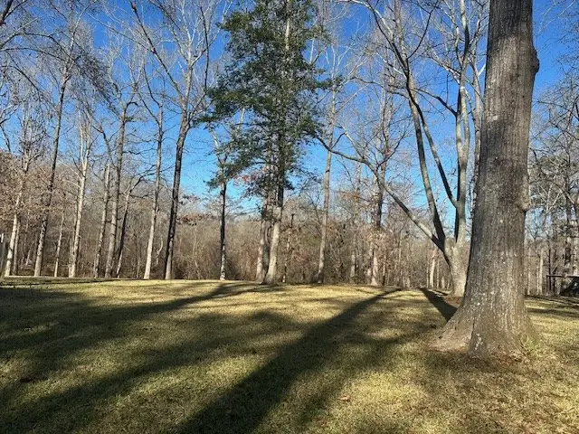 175 New Haven Rd, Milam, TX 75959 - Image #3