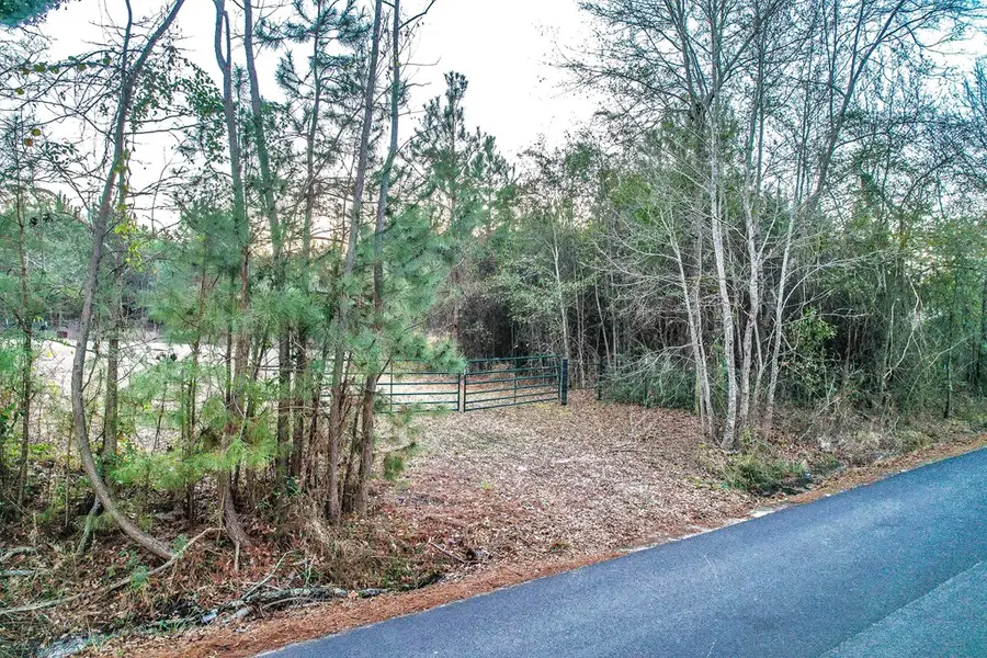 Parcel # 141539 Barge, Zavalla, TX 75980 - Image #2