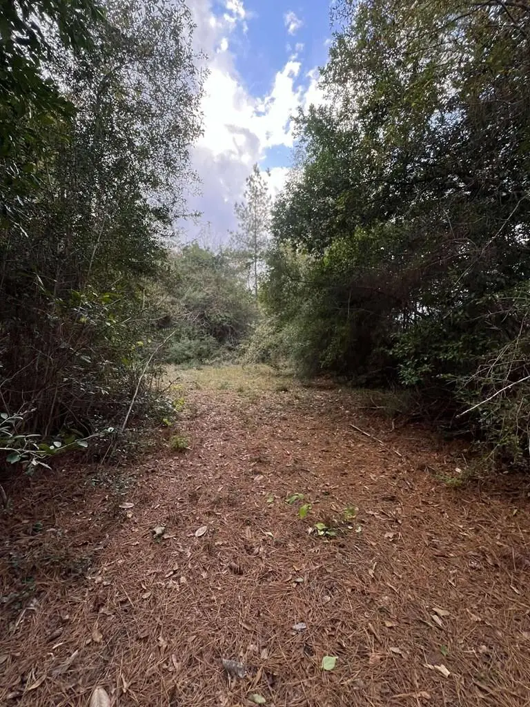 15121 Highway 87 N, Call, TX 75933 - Image #1