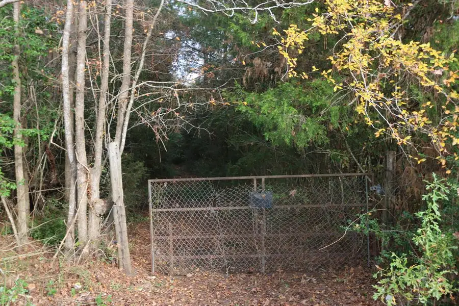 15121 Highway 87 N, Call, TX 75933 - Image #2