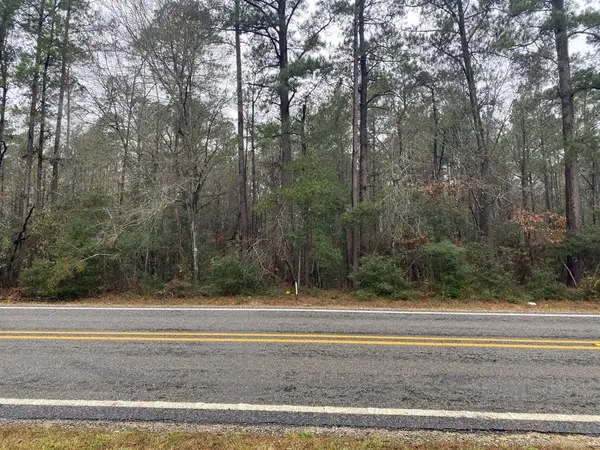 TBD Fm 2497, Diboll, TX 75941