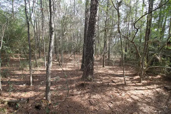 00 Jape Massingill Lane, Diboll, TX 75941