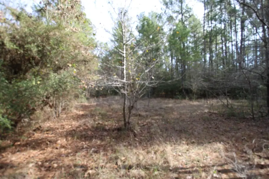 00 Jape Massingill Lane, Diboll, TX 75941 - Image #3