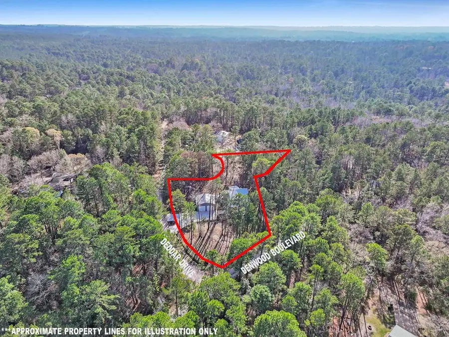 140 Deodar Drive, Brookeland, TX 75931 - Image #3