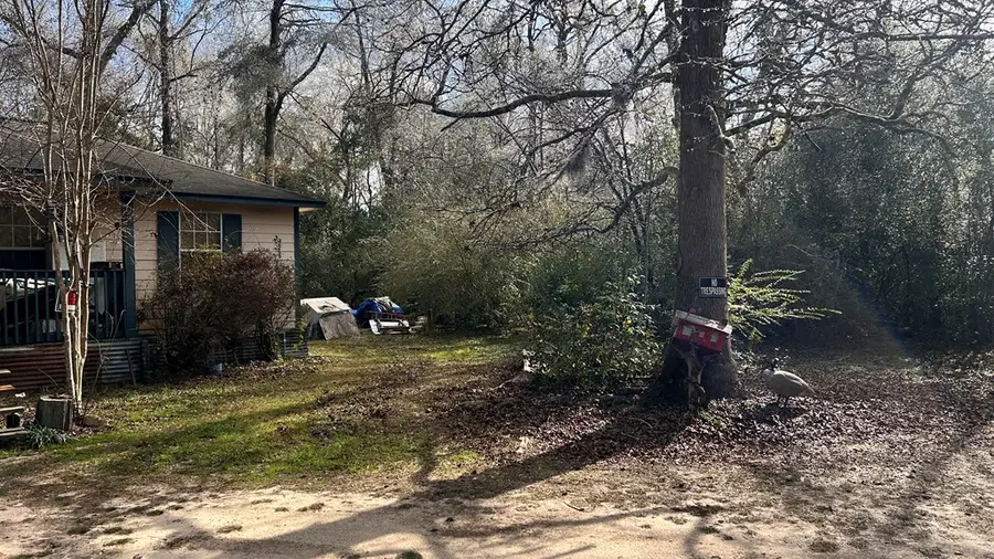 1503 Cr 4455, Hillister, TX 75979 - Image #2