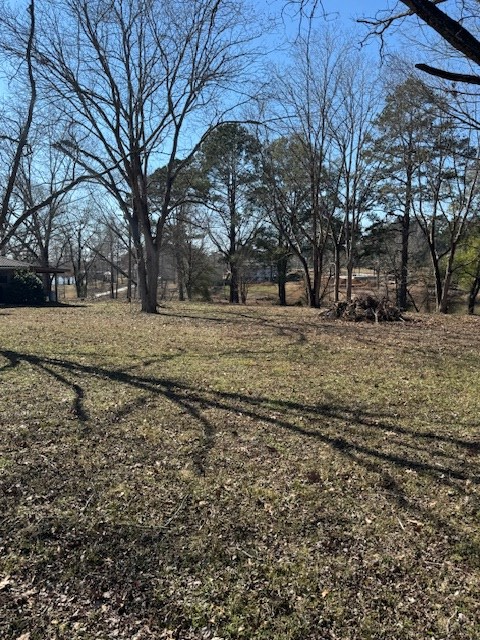 640 Pecan Estates Loop, Hemphill, TX 75948 - Image #2