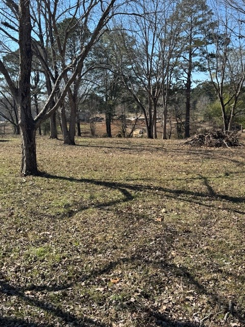 640 Pecan Estates Loop, Hemphill, TX 75948 - Image #3