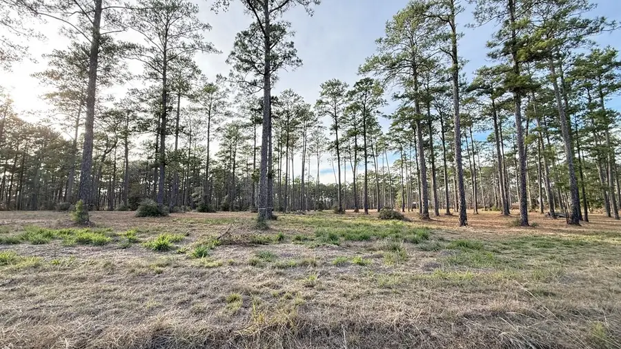 775 Private Road 6026, Brookeland, TX 75931 - #2