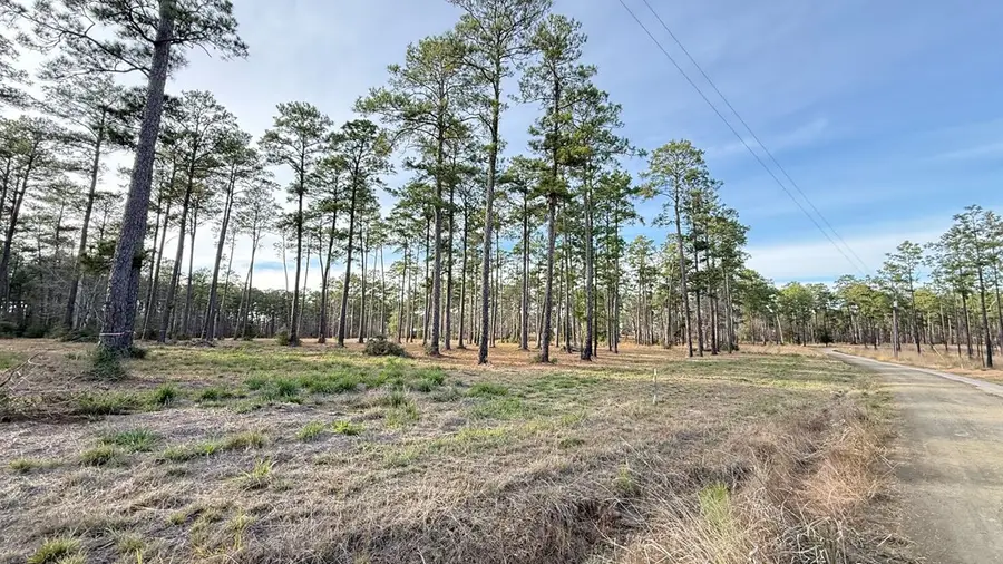 775 Private Road 6026, Brookeland, TX 75931 - #3