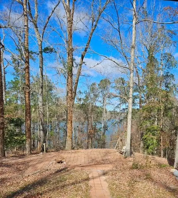 791 New Haven Rd, Hemphill, TX 75948 - Image #1