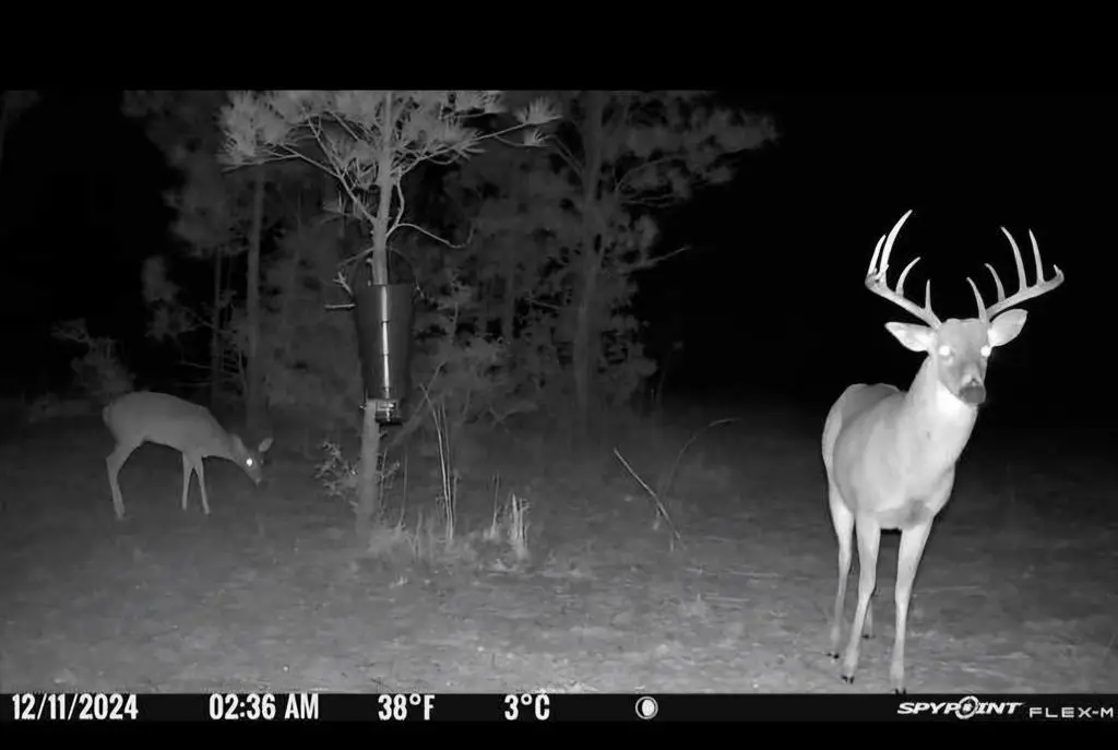 6122 Tx State Hwy 63 E, Jasper, TX 75951 - #1