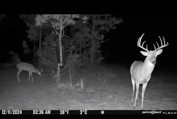 6122 Tx State Hwy 63 E, Jasper, TX 75951