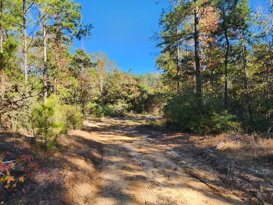 6122 Tx State Hwy 63 E, Jasper, TX 75951 - #3