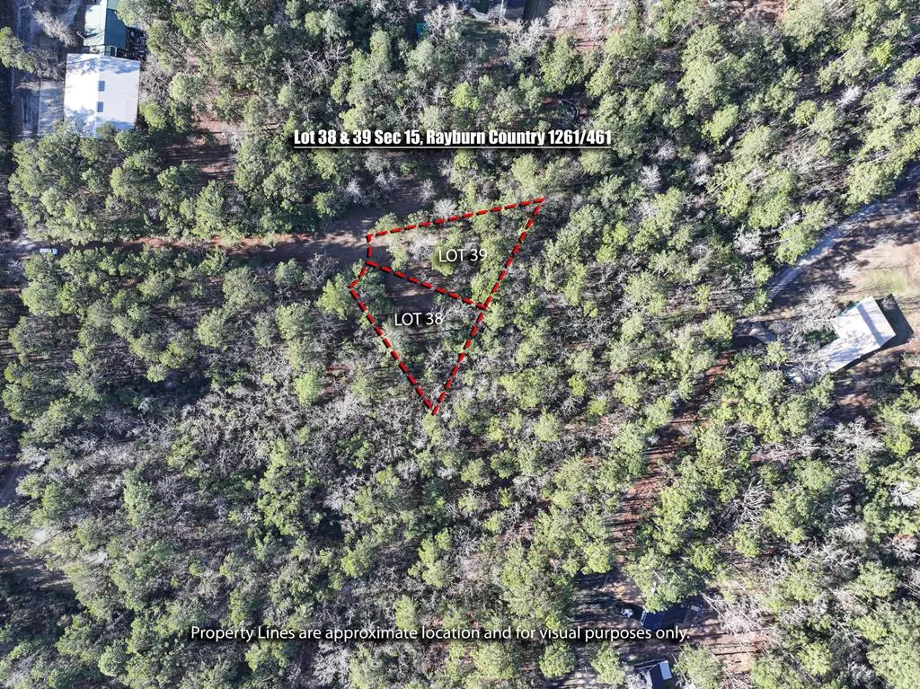 Lot 38 & 39 Dingy Ln, Brookeland, TX 75931 - #1