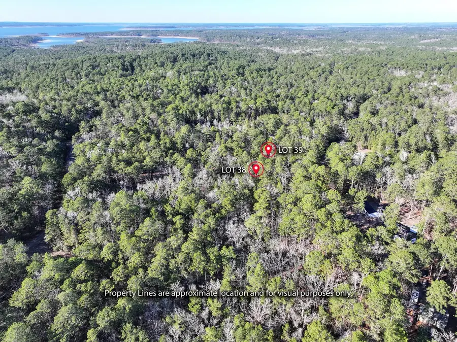 Lot 38 & 39 Dingy Ln, Brookeland, TX 75931 - #2