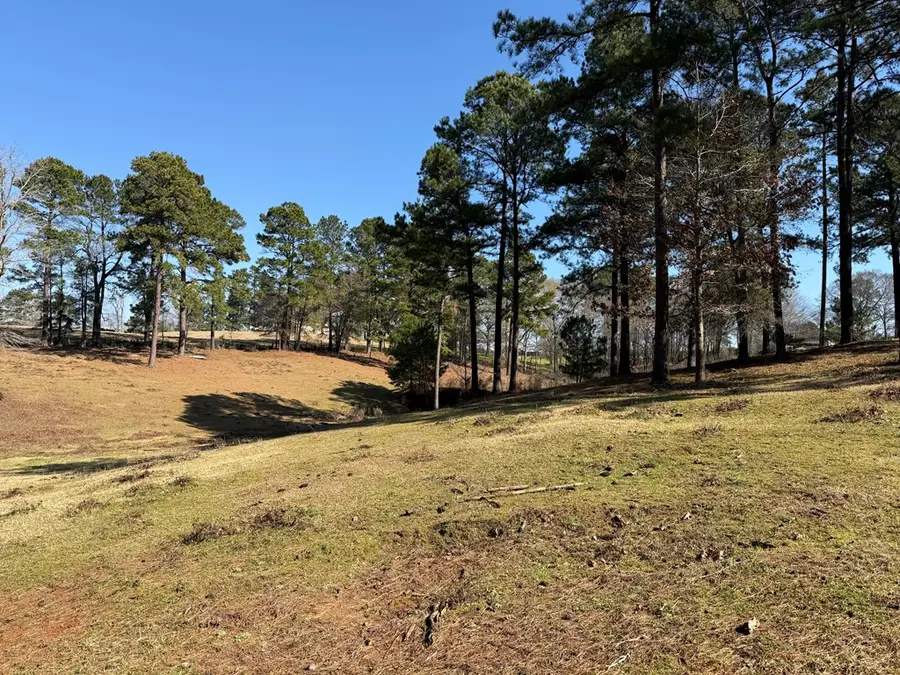 3984 County Road 3100, San Augustine, TX 75972 - #3