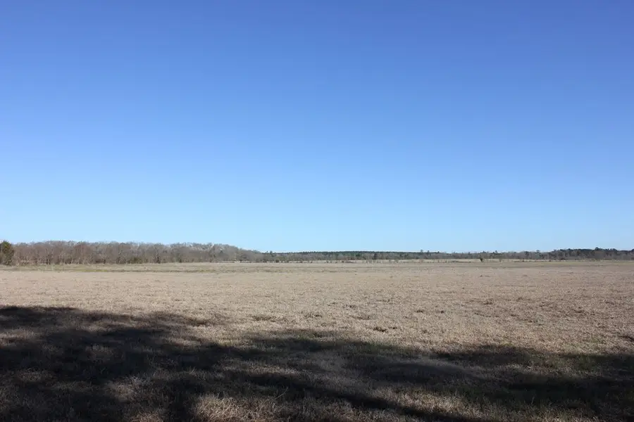 PID 38061 Cotton Thompson Road, Lufkin, TX 75901 - Image #2