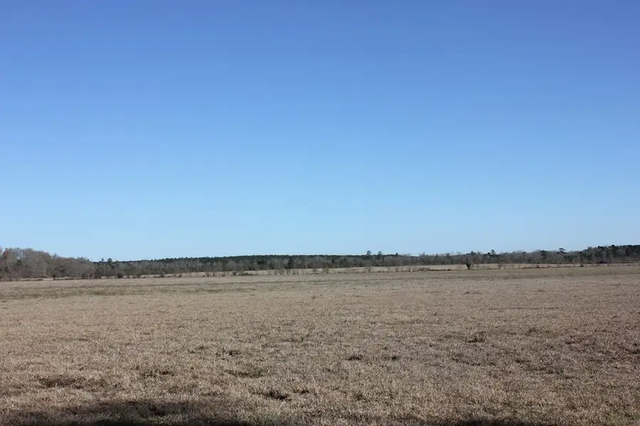 PID 38061 Cotton Thompson Road, Lufkin, TX 75901 - Image #3