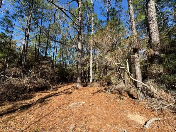 125 Sumac Drive, Brookeland, TX 75931