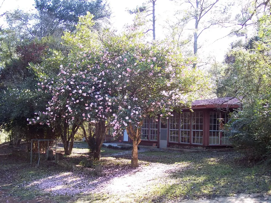 657 Cr 346, Jasper, TX 75951 - #2