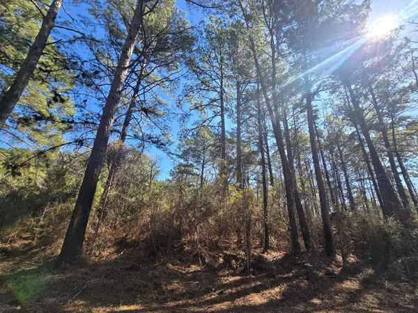 286 County Road 3300, Colmesneil, TX 75938