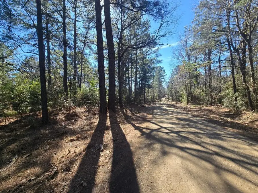 286 County Road 3300, Colmesneil, TX 75938 - #3