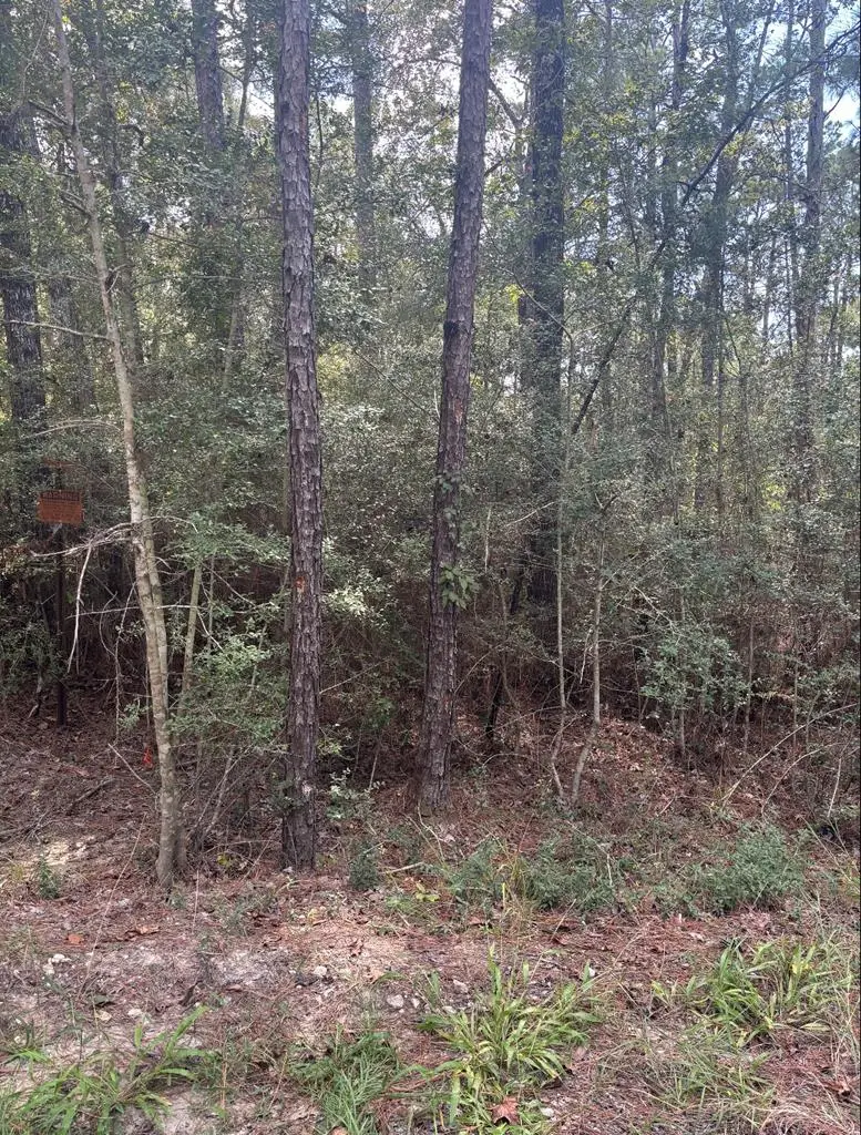 155 Sitka, Brookeland, TX 75931 - #3