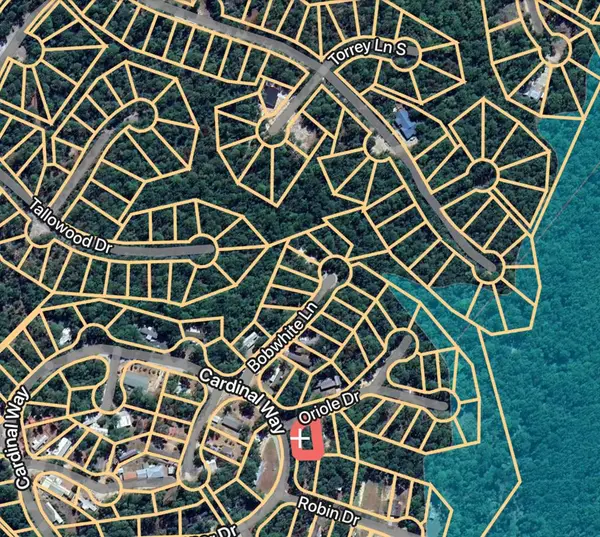 122 Oriole, Brookeland, TX 75931